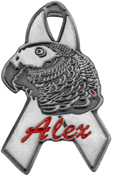 Alex Ribbon pin by signature pins-1