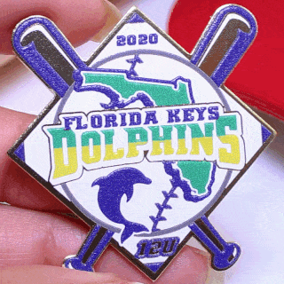 florida-keys-dolphins