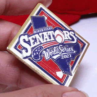 north-texas-senators-small